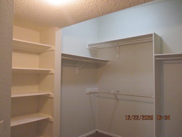 7572  Le Conte A property image