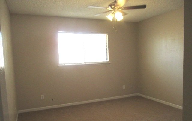 WESTSIDE DUPLEX: 3 BR 2 BATH property image